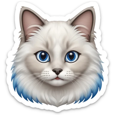 Ragdoll cat, with dark nose area with bright blue eyes sticker