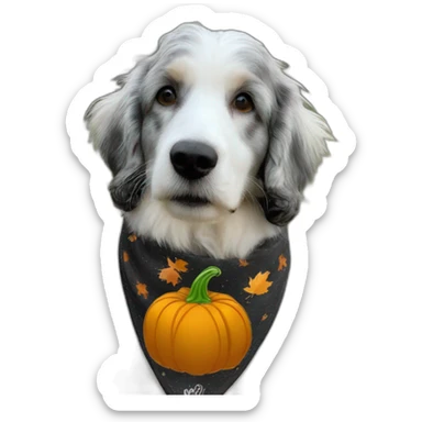 black and white aussie doodle with a pumpkin and fall bandana sticker