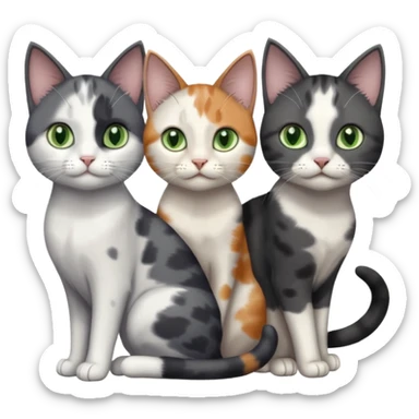 3 different coloured small cats including a dark grey and white, and a patchy calico and a completely solid dark grey with green eyes and only white paws sticker