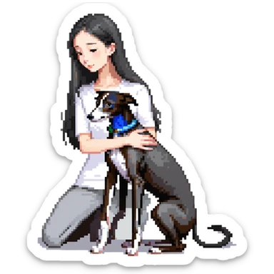 Slim Chinese girl with long black hair petting an Italian greyhound with completely uniform solid grey color throughout its entire body and face, with no white markings anywhere sticker