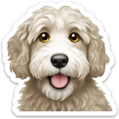 Beige and white Aussiedoodle  sticker