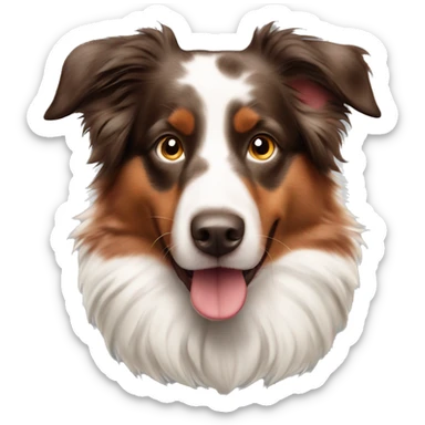 Red Merle Australian shepherd  sticker