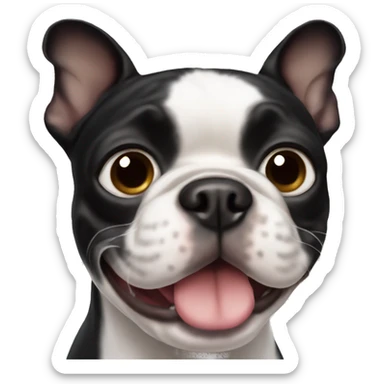Boston terrier sticker