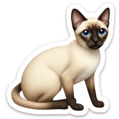 Siamese sticker