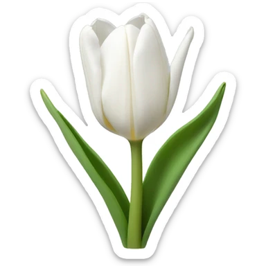 white tulips sticker