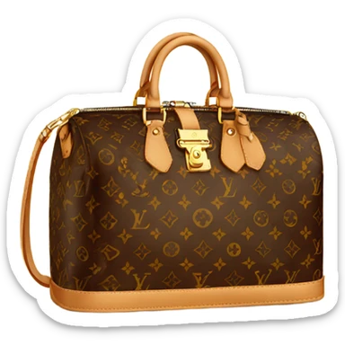 Bag loui Vuitton  sticker