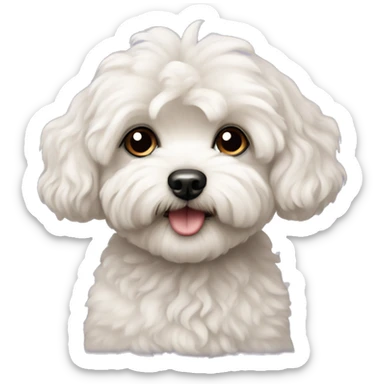 Maltipoo dog sticker