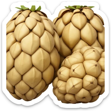  Jerusalem artichoke sticker