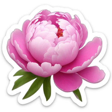 Peony sticker
