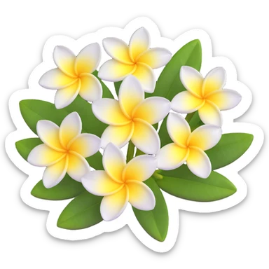 plumeria flower with five white petals and yellow center sticker