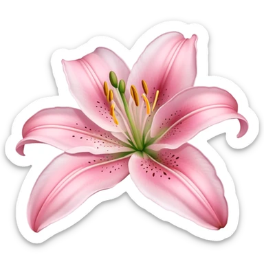 light pink lilium sticker