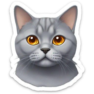 grey british shorthair cat with orange eyes  sticker