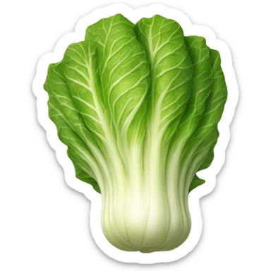 A napa cabbage marinated in a red pepper paste sticker