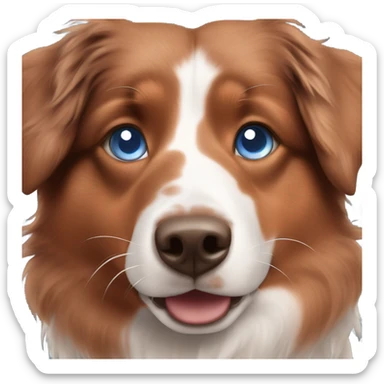 Red Australian shepherd with blue eyes  sticker