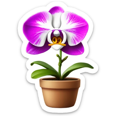 white and magenta orchid in small pot  sticker