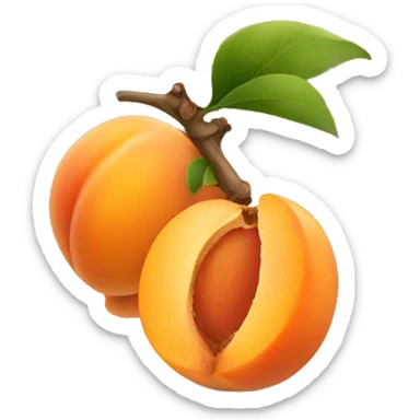 apricot sticker