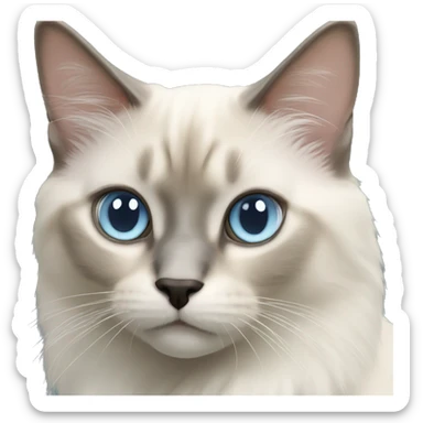 Balinese cat with light blue eyes and medium length fur sticker