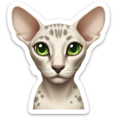 sphinx cat with green eyes beige with gray spots sticker