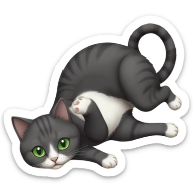 beautiful female solid dark grey cat with green eyes, white toes/paws and white patch on her chest playfully rolling upside down sticker