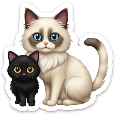 A ragdoll cat and a black cat together sticker