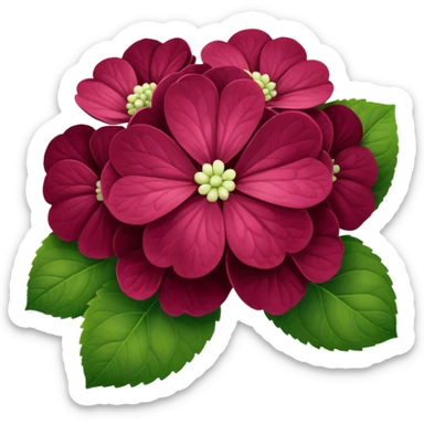 Hortensia bordeaux  sticker