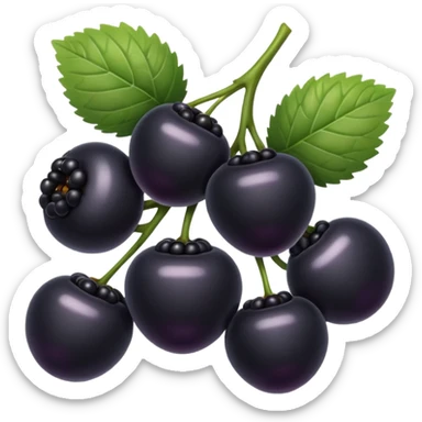 black berry sticker