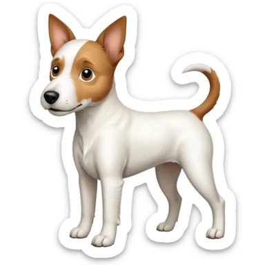 a full body large white parson russell terrier looking dog the size of a kelpie with light brown big ears and a light brown patch on one eye and a large snout sticker