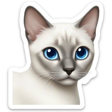 white siamese cat with gray markings and blue eyes sticker