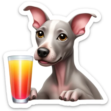 American Hairless Terrier drinking juice  sticker
