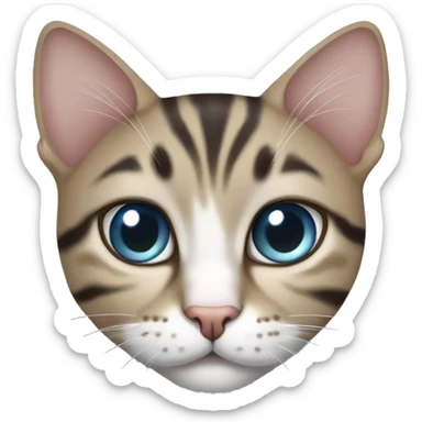 cat siamés tabby point eyes blue sticker