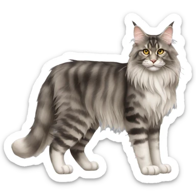 Maine Coon Cat Breed Full Body sticker