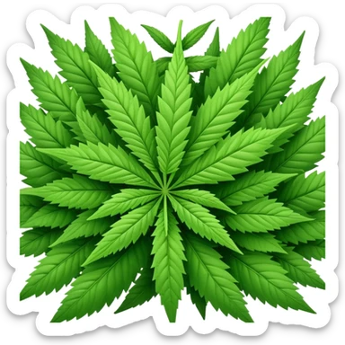 Ojas de marihuana sticker