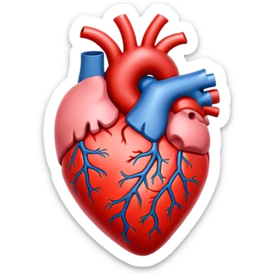 Anatomical heart sticker