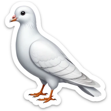 white pigeon sticker