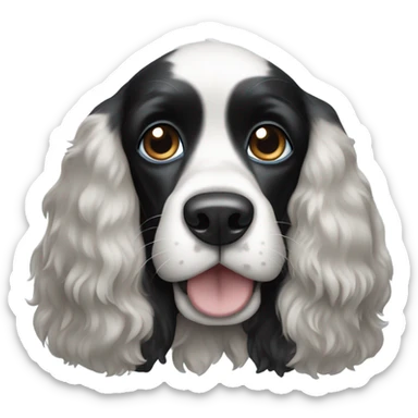 blue eyed Black and white Cocker spaniel dog sticker
