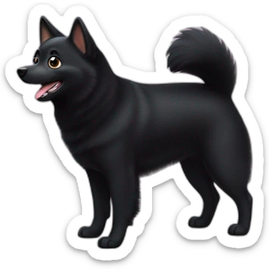 excited-schipperke sticker