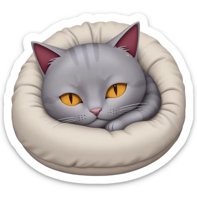 Un chat gris  en train de dormir dans un nid qui est Bordeaux  sticker