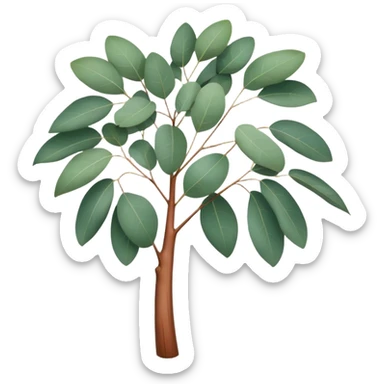Cinematic Realistic Eucalyptus Emoji, Tall and graceful, with slender trunks covered in smooth, peeling bark and large, fragrant leaves. The eucalyptus trees sway gently in the breeze, releasing a calming aroma that fills the air. Soft glowing outline, capturing the essence of rugged beauty and natural serenity in a tall eucalyptus tree! sticker