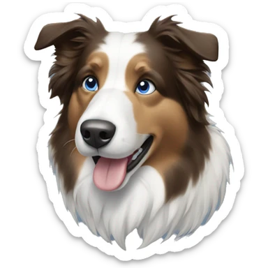 blue-eyes-bordercollie-bluemerle sticker