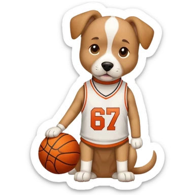 Dog wearing a basketball shirt with the number 67 sticker