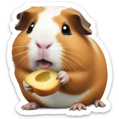 Guinea pig eating sticker