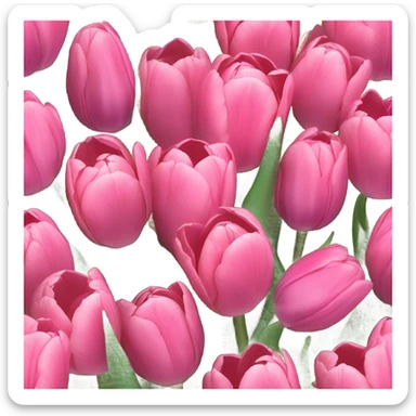 pink tulips sticker