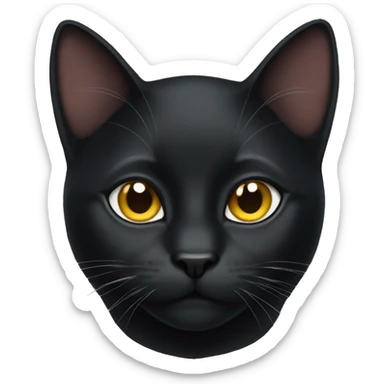 Black cat  sticker