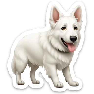 three white shepherds sticker