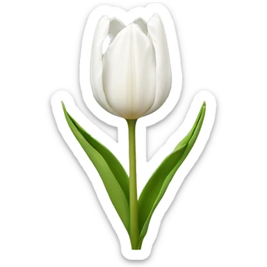 tulip white sticker