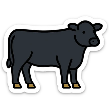 Aberdeen Angus cow, realistic black coat, standing, simple background, icon style sticker