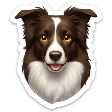 Dark brown border collie no white fur and lighter brown around eyes sticker