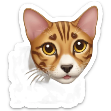 Bengal cat with dog Pomsky  sticker