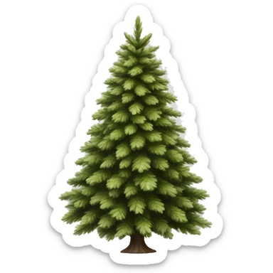 Realistic isolated off white fir christmas tree   sticker