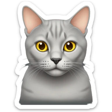 British cat color gray peach with yellow eyes sticker